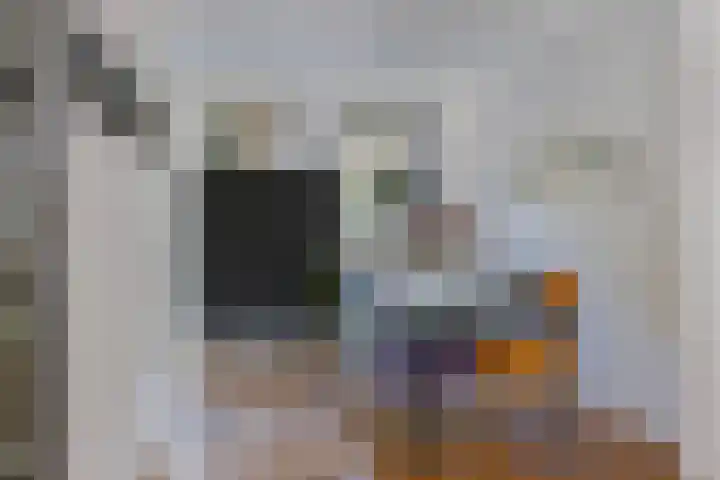 Scherpeweide 15 Duiven thumbnail 11