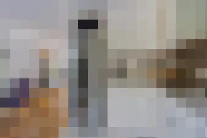 Scherpeweide 15 Duiven thumbnail 13
