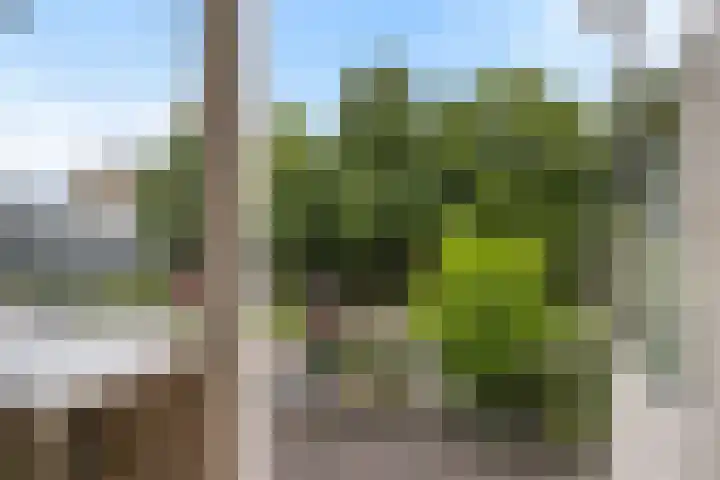 Scherpeweide 15 Duiven thumbnail 18