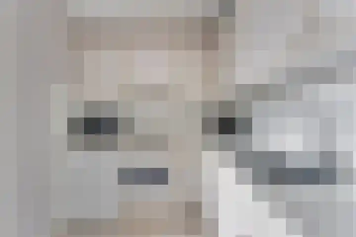 Scherpeweide 15 Duiven thumbnail 20