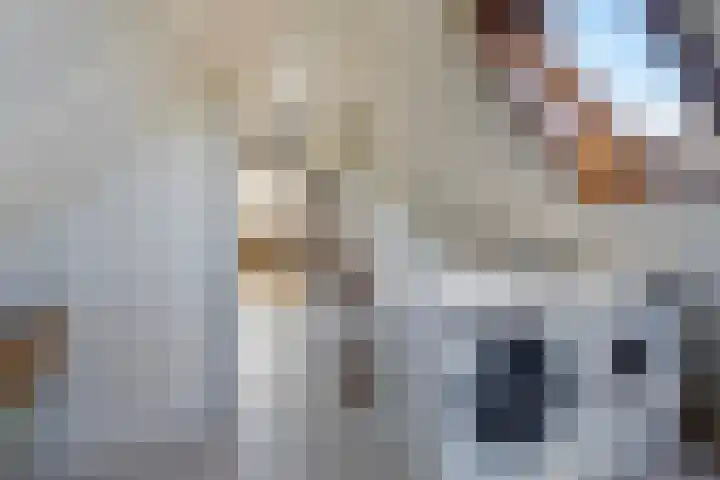 Scherpeweide 15 Duiven thumbnail 20