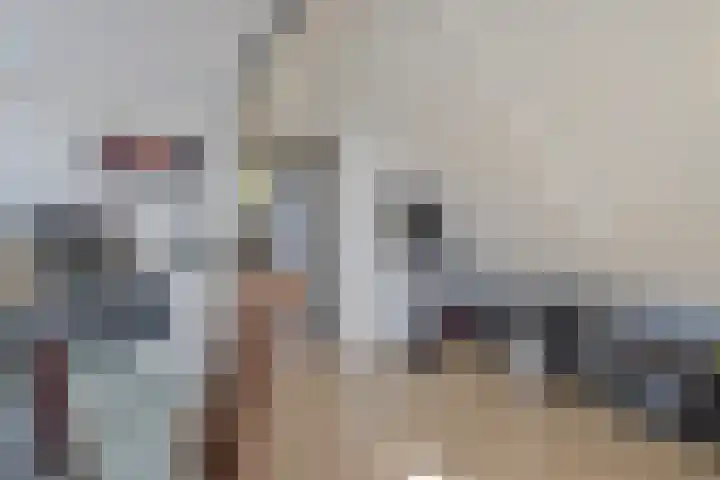 Scherpeweide 15 Duiven thumbnail 22