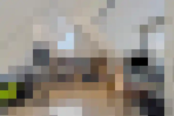 Scherpeweide 15 Duiven thumbnail 23