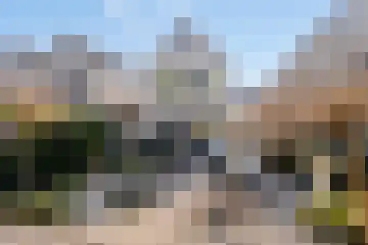 Scherpeweide 15 Duiven thumbnail 27