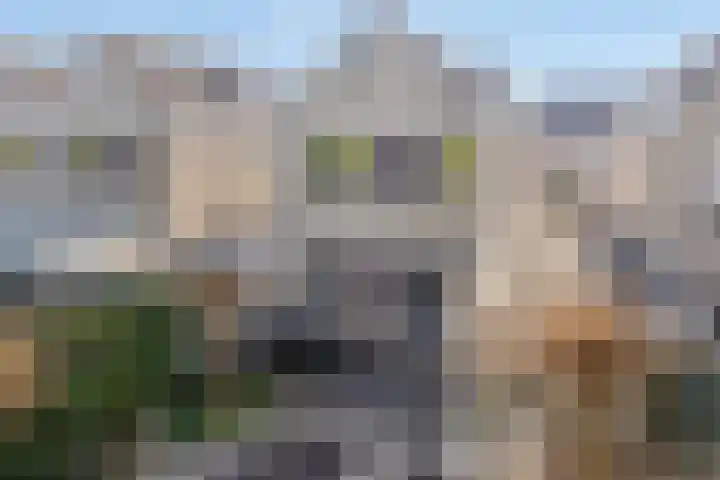 Scherpeweide 15 Duiven thumbnail 29