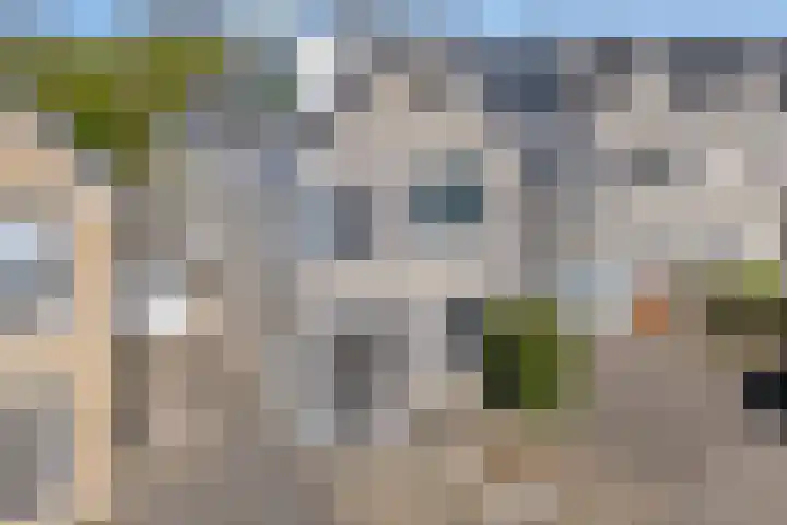 Scherpeweide 15 Duiven thumbnail 34