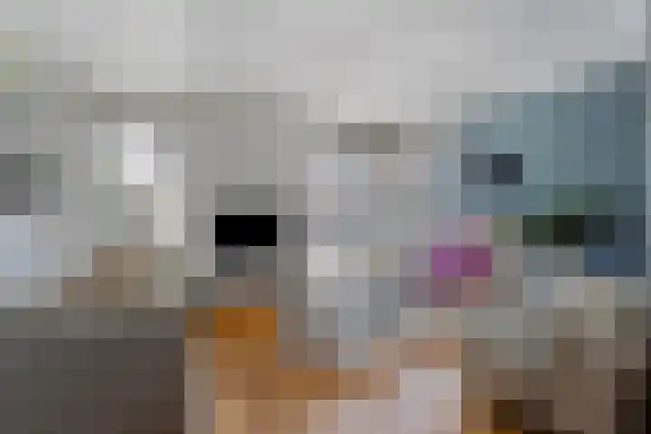 Scherpeweide 15 Duiven thumbnail 4