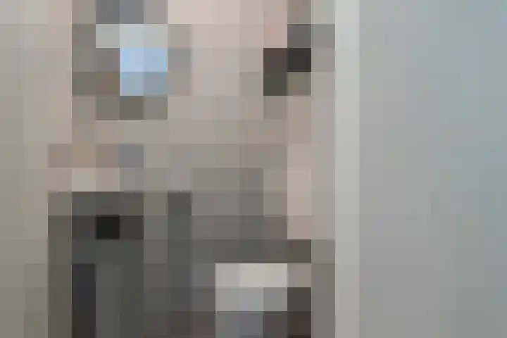 Scherpeweide 15 Duiven thumbnail 6