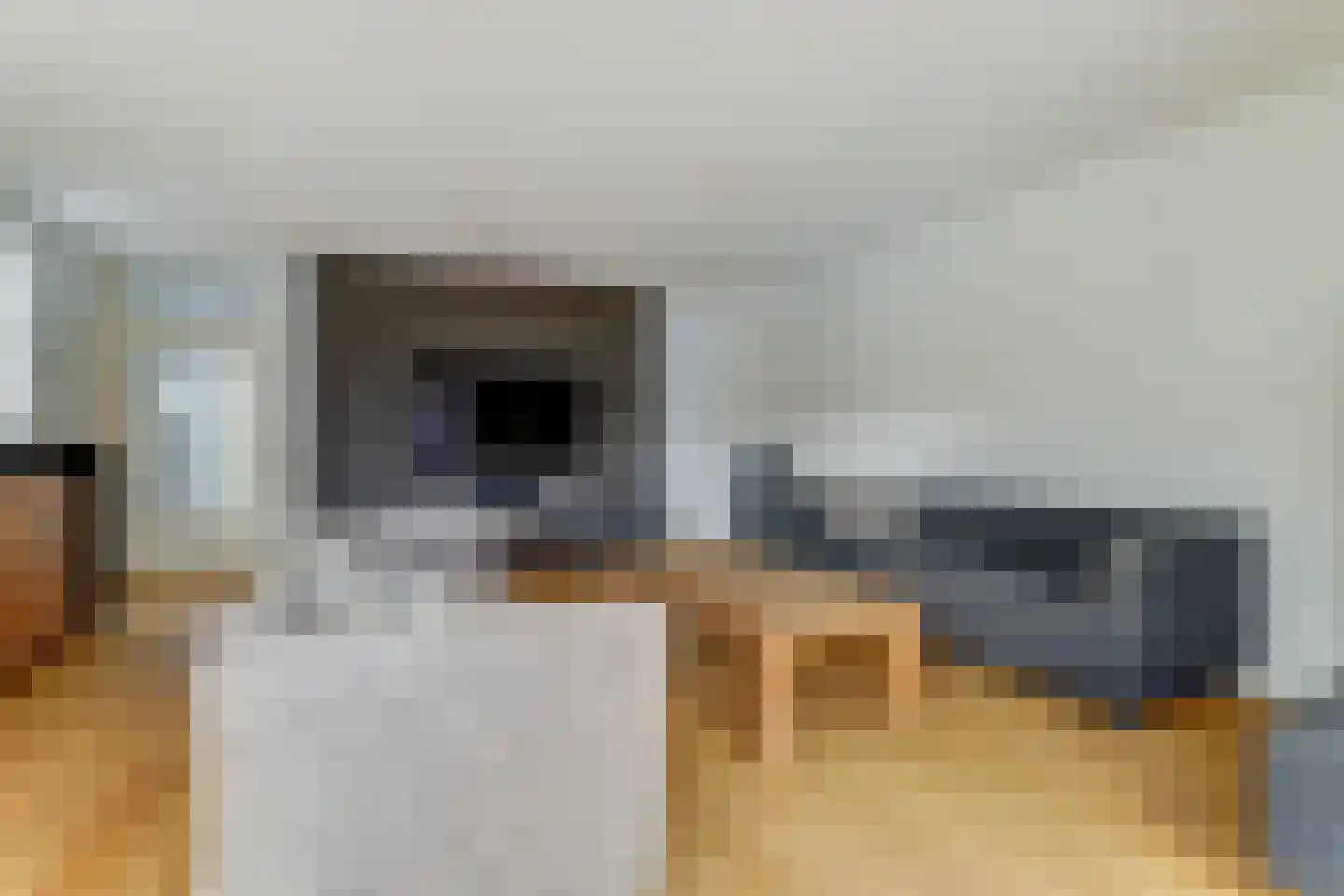 Scherpeweide 15 Duiven thumbnail 7
