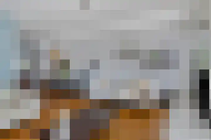 Scherpeweide 15 Duiven thumbnail 8