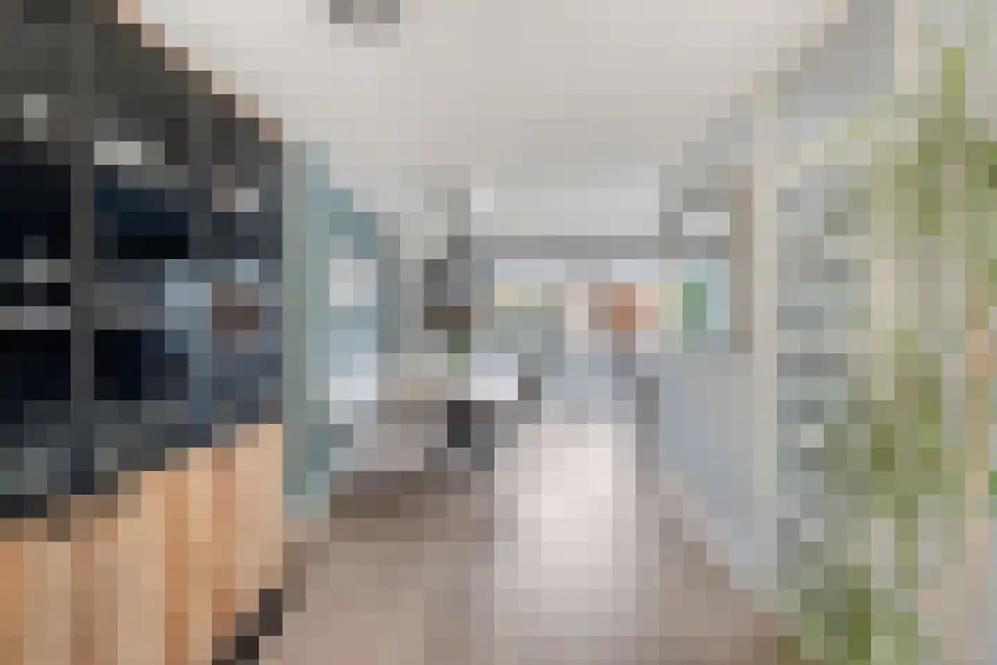 Scherpeweide 19 Duiven thumbnail 15