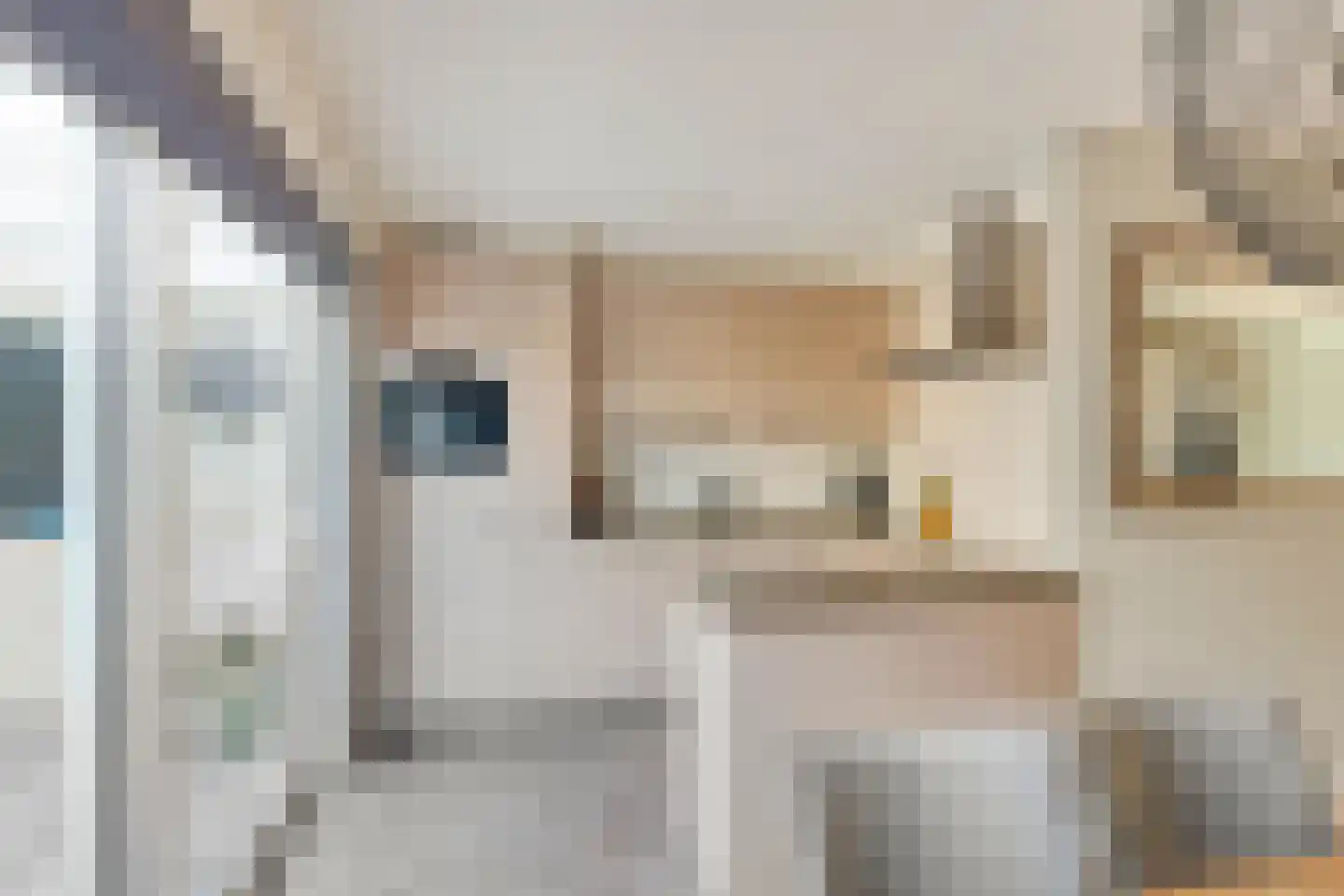 Scherpeweide 19 Duiven thumbnail 22