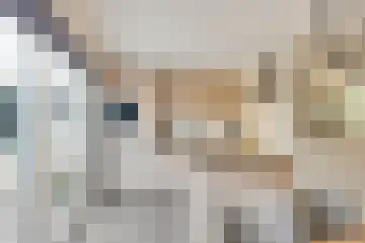 Scherpeweide 19 Duiven thumbnail 22