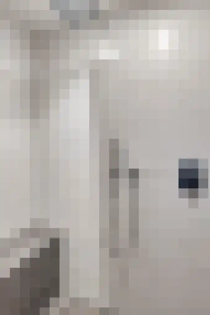 Scherpeweide 19 Duiven thumbnail 35