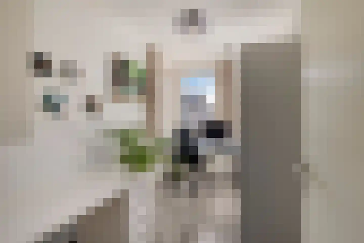 Scherpeweide 19 Duiven thumbnail 37