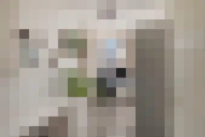 Scherpeweide 19 Duiven thumbnail 37