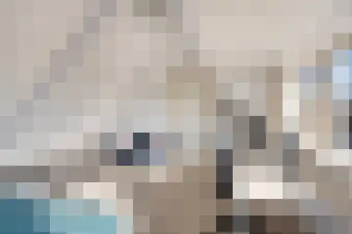 Scherpeweide 19 Duiven thumbnail 44