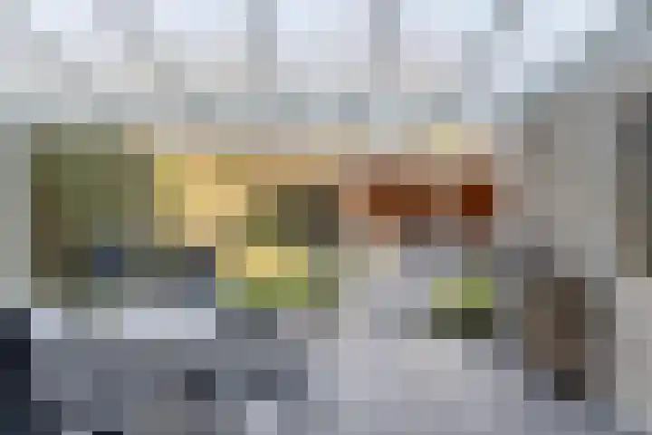 Scherpeweide 19 Duiven thumbnail 46