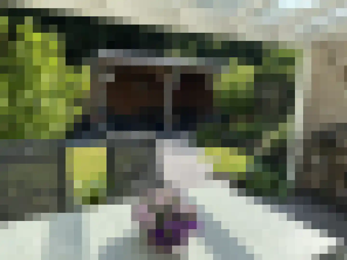Scherpeweide 19 Duiven thumbnail 47