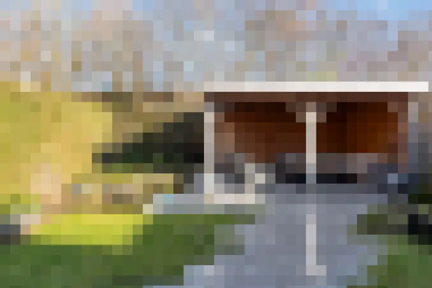Scherpeweide 19 Duiven thumbnail 48