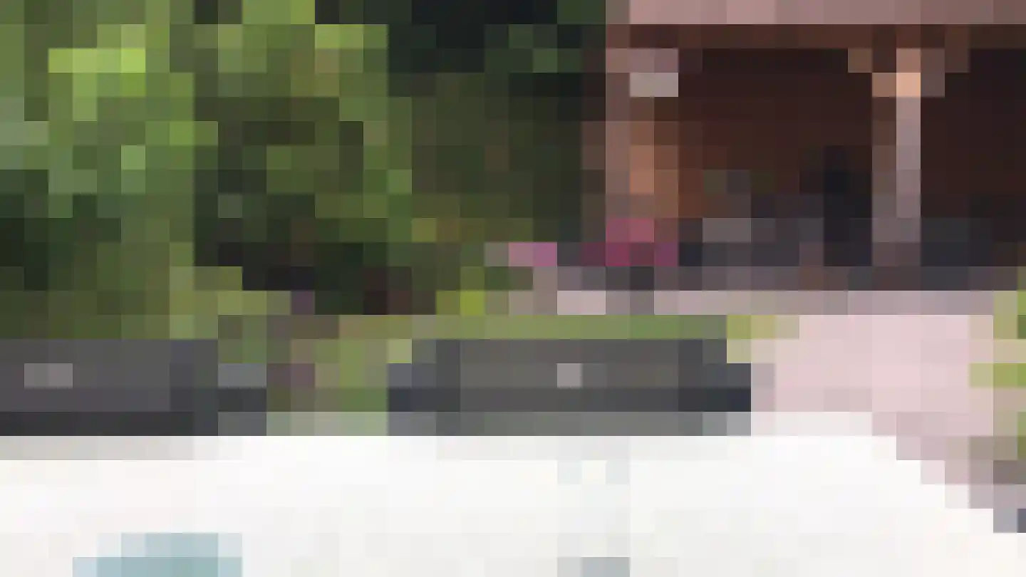 Scherpeweide 19 Duiven thumbnail 49