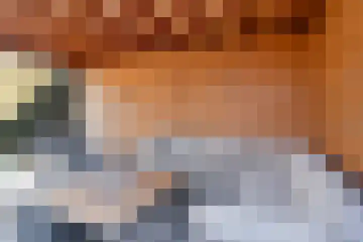 Scherpeweide 19 Duiven thumbnail 51
