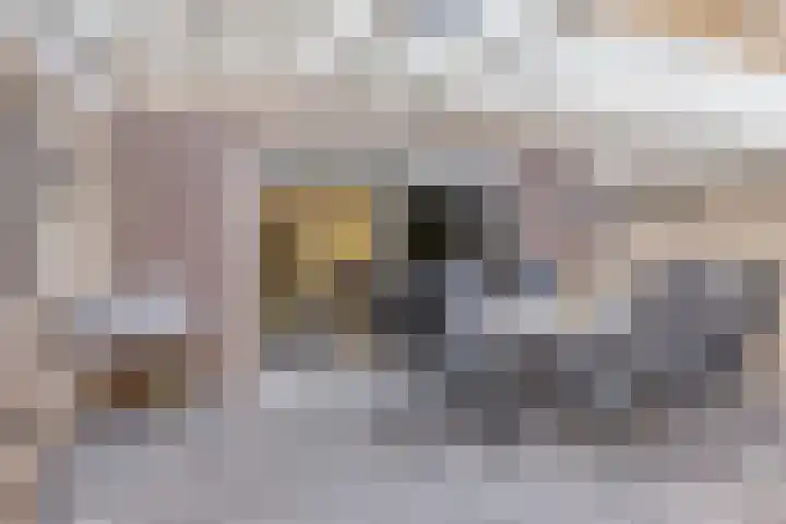 Scherpeweide 19 Duiven thumbnail 55