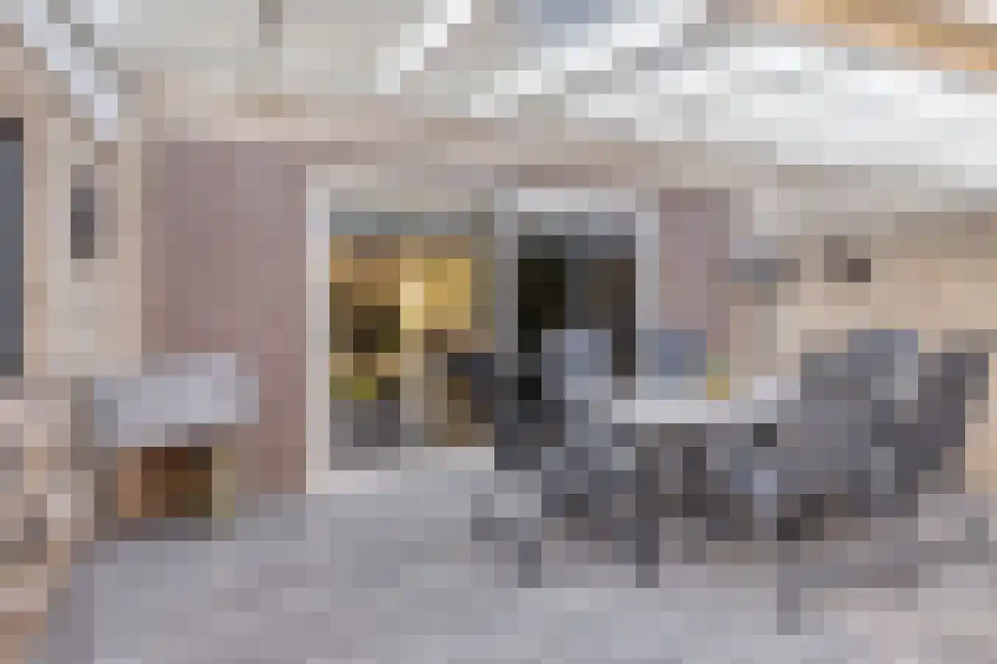 Scherpeweide 19 Duiven thumbnail 55