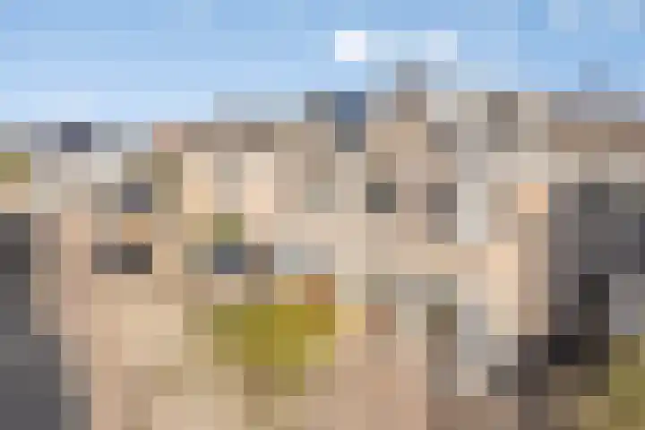 Scherpeweide 19 Duiven thumbnail 59