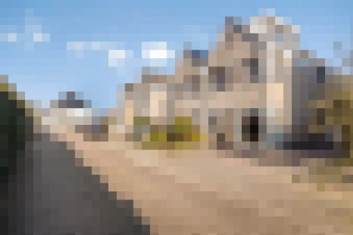 Scherpeweide 19 Duiven thumbnail 61