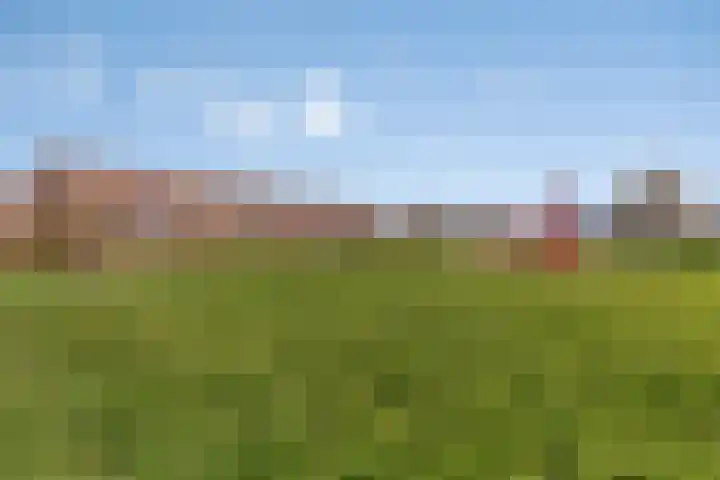 Scherpeweide 19 Duiven thumbnail 63