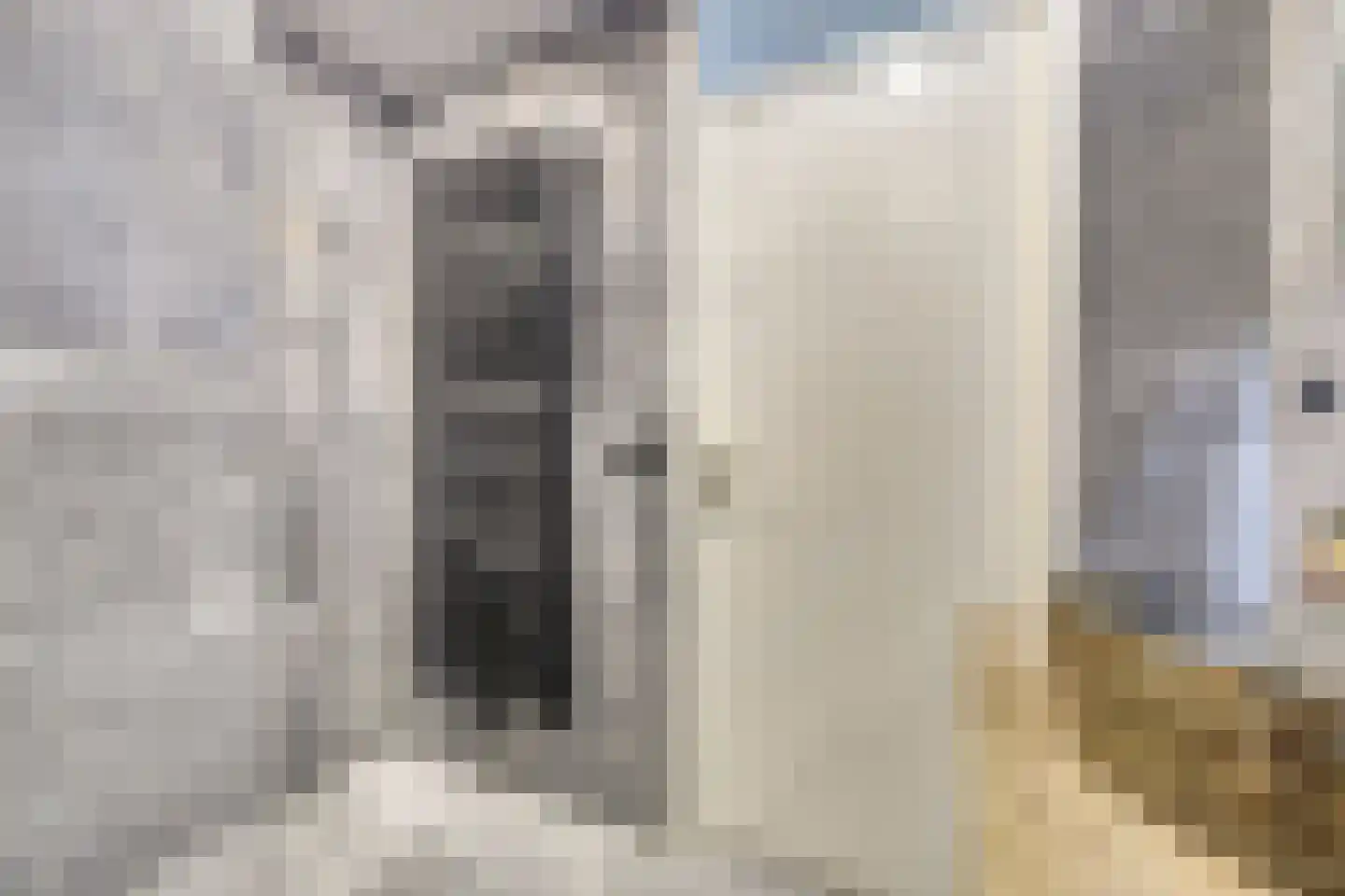Scherpgras 59 Spijkenisse thumbnail 18