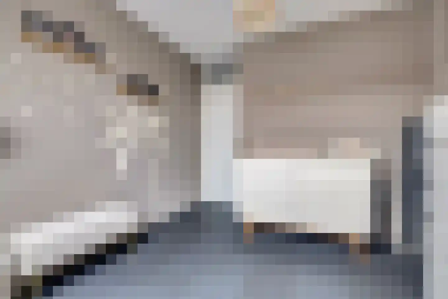 Scherpgras 59 Spijkenisse thumbnail 25