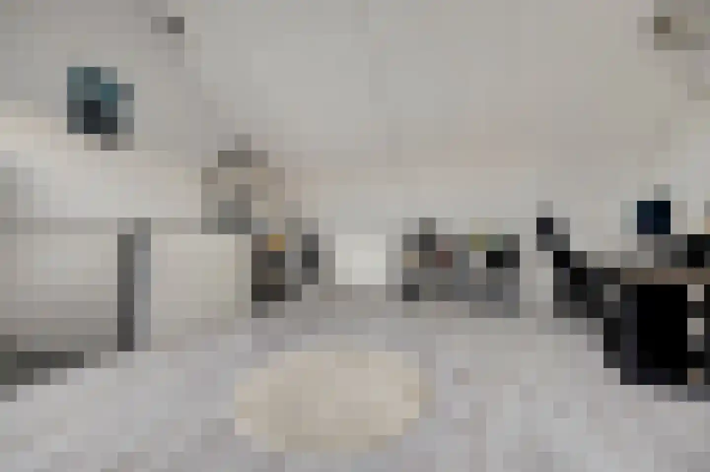 Scherpgras 59 Spijkenisse thumbnail 26