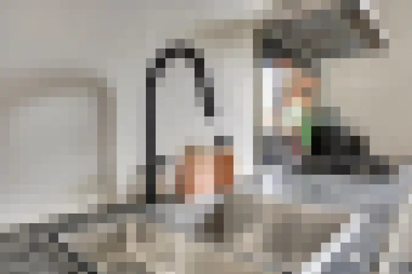 Scherpgras 59 Spijkenisse thumbnail 6