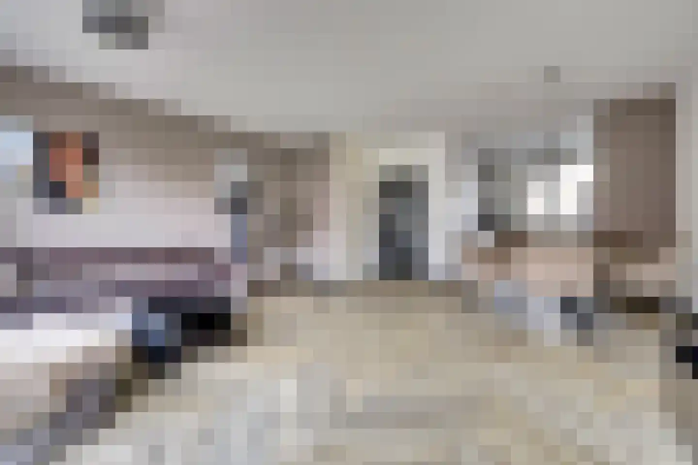 Scherpgras 59 Spijkenisse thumbnail 9