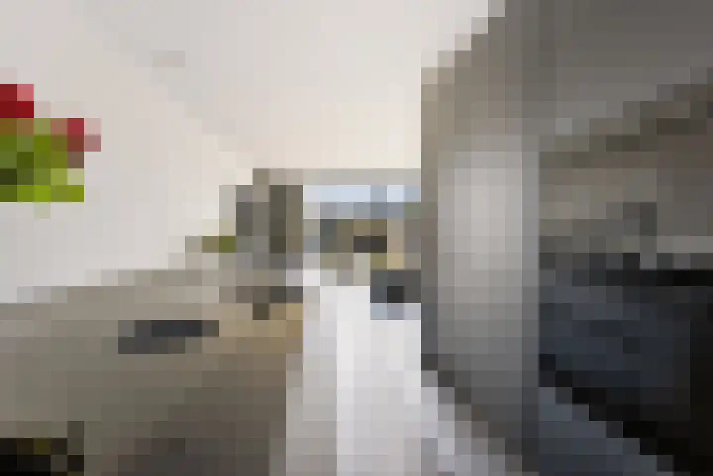 Schervenkreek 8 Spijkenisse thumbnail 22
