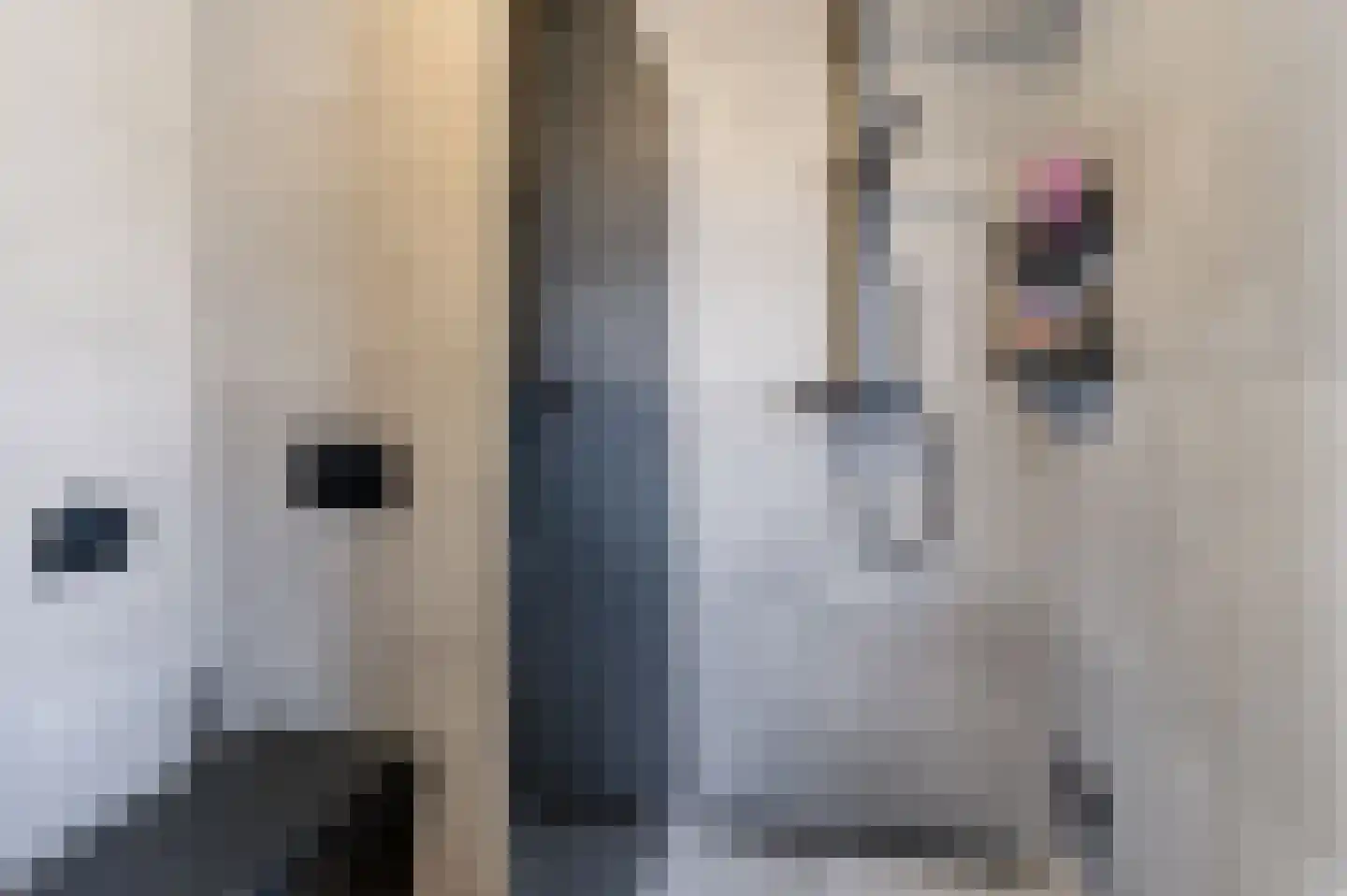 Schervenkreek 8 Spijkenisse thumbnail 26
