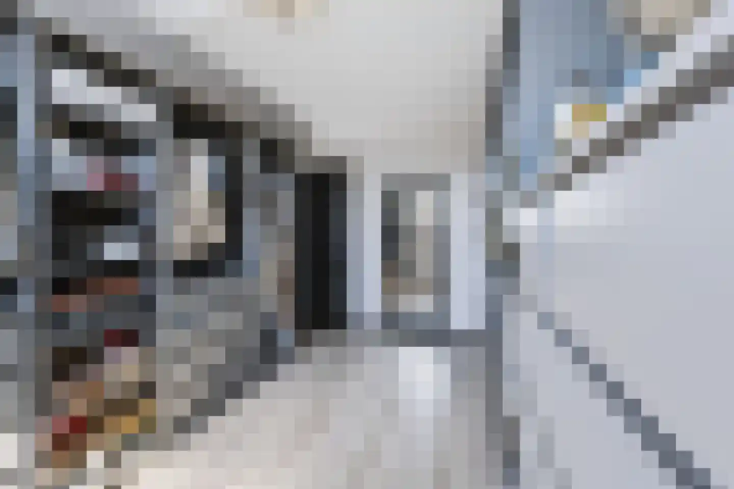 Schervenkreek 8 Spijkenisse thumbnail 31