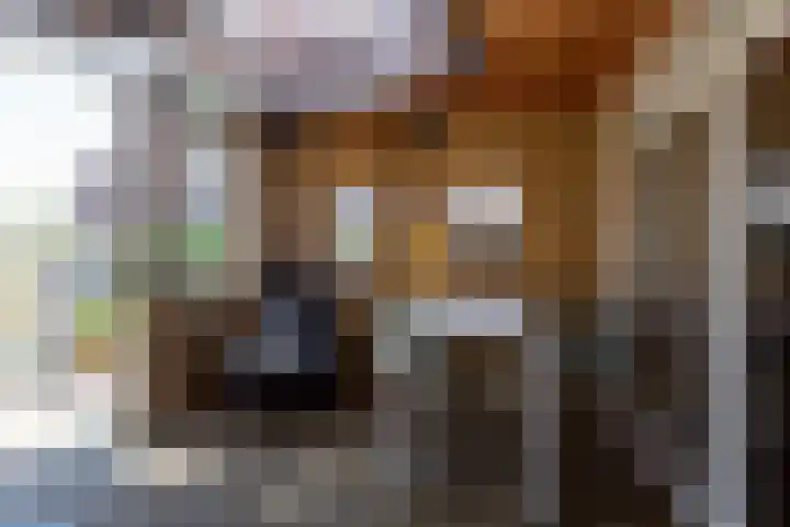 Scherwolderhemstraat 2 Sneek thumbnail 33