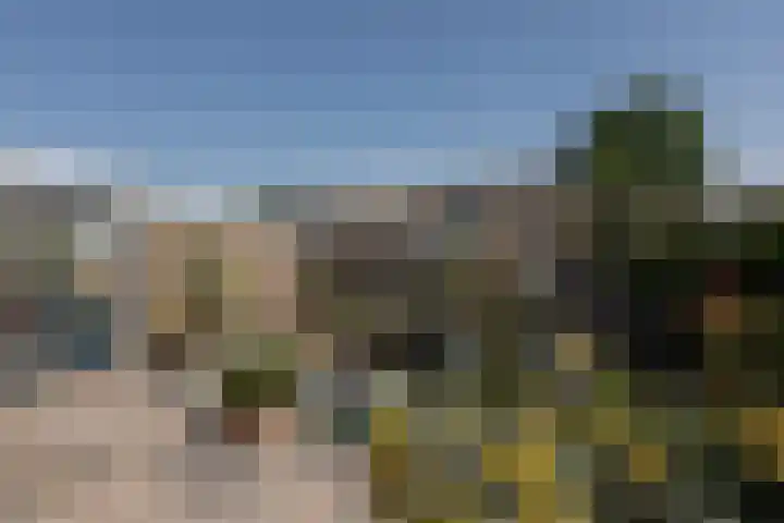 Scherwolderhemstraat 2 Sneek thumbnail 35