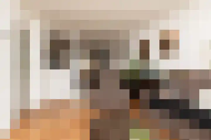 Scherwolderhemstraat 2 Sneek thumbnail 6