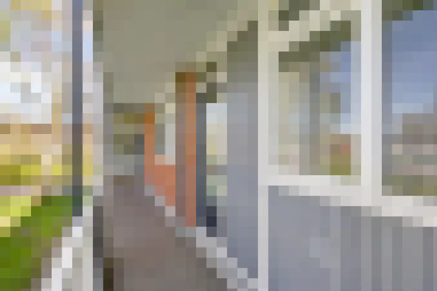 Scherwolderhemstraat 27 Sneek thumbnail 12