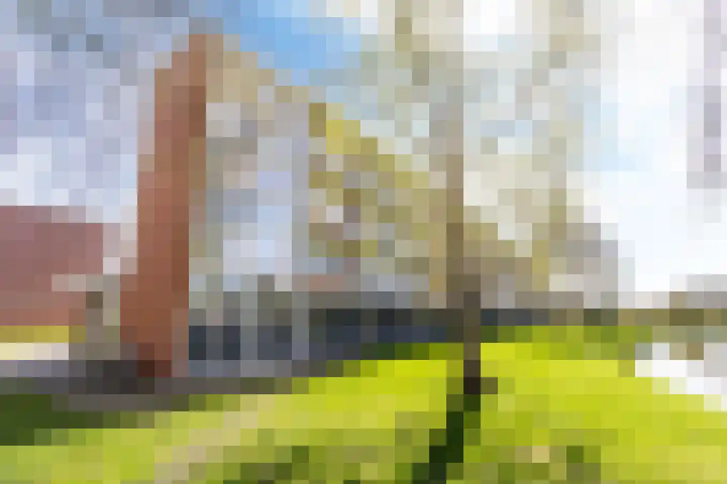 Scherwolderhemstraat 27 Sneek thumbnail 32