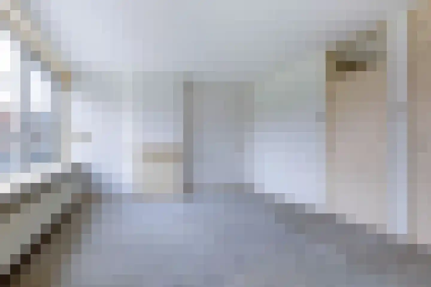 Scherwolderhemstraat 31 Sneek thumbnail 17