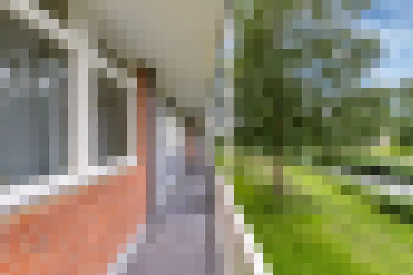 Scherwolderhemstraat 31 Sneek thumbnail 8