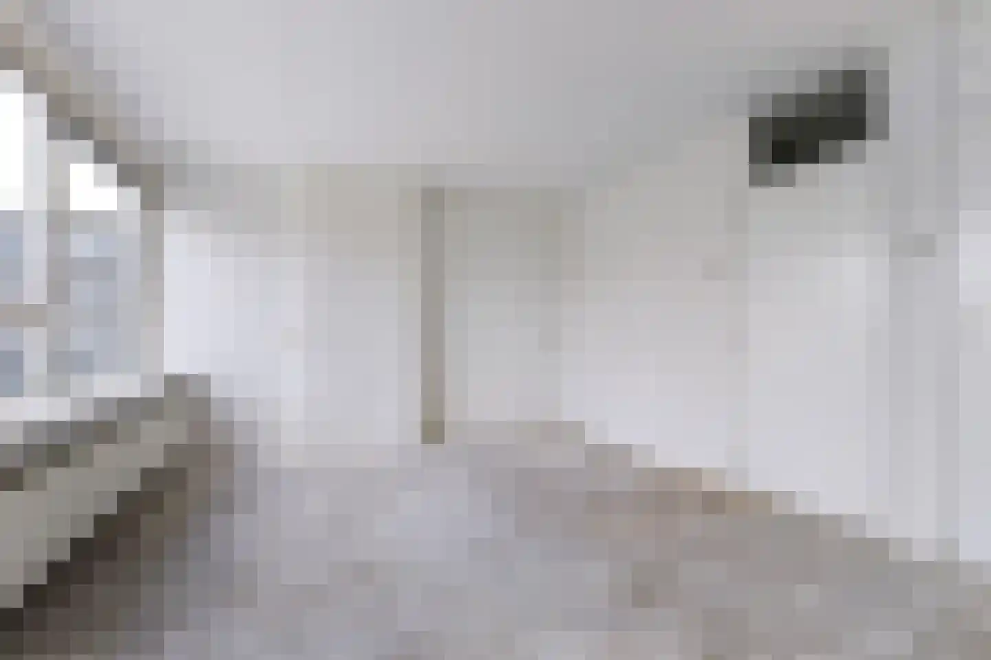 Scherwolderhemstraat 35 Sneek thumbnail 16