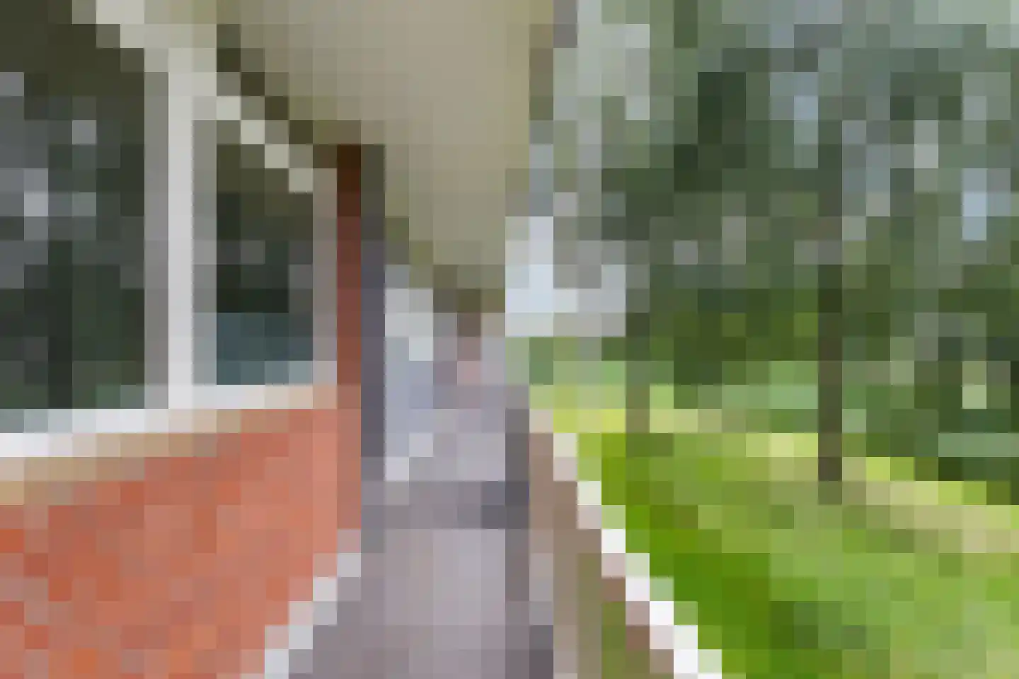 Scherwolderhemstraat 35 Sneek thumbnail 9