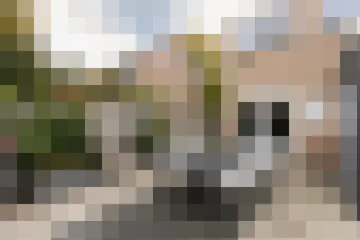 Scherwolderhemstraat 50 Sneek thumbnail 28