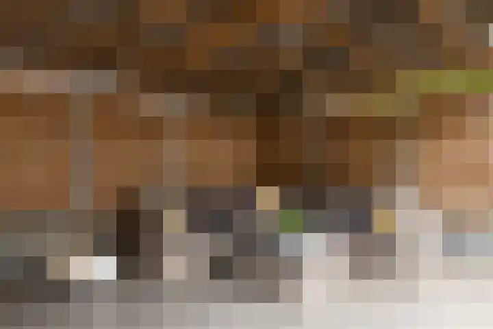 Scherwolderhemstraat 50 Sneek thumbnail 31